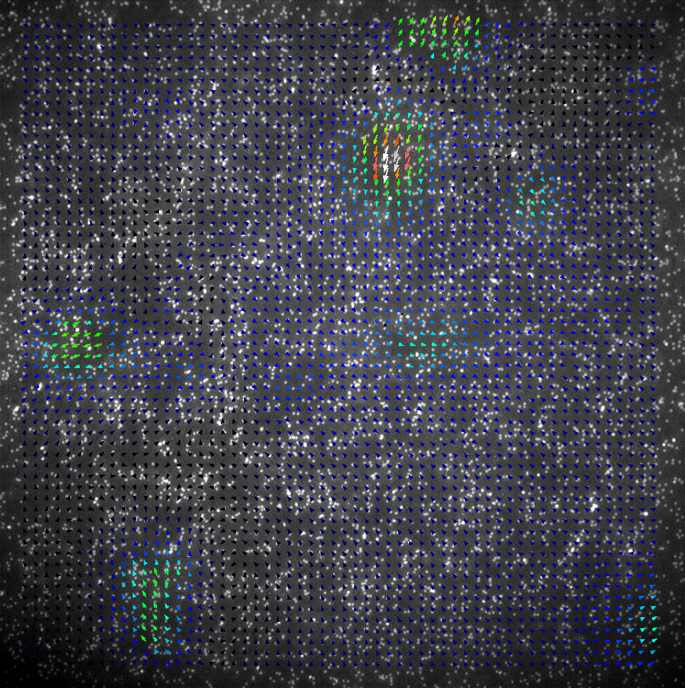Grid size of 16 pixels