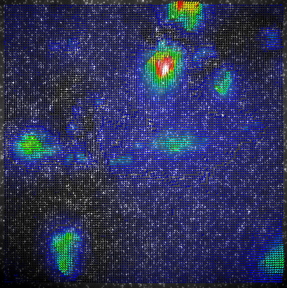PIV calculation with a grid size of 8 pixels